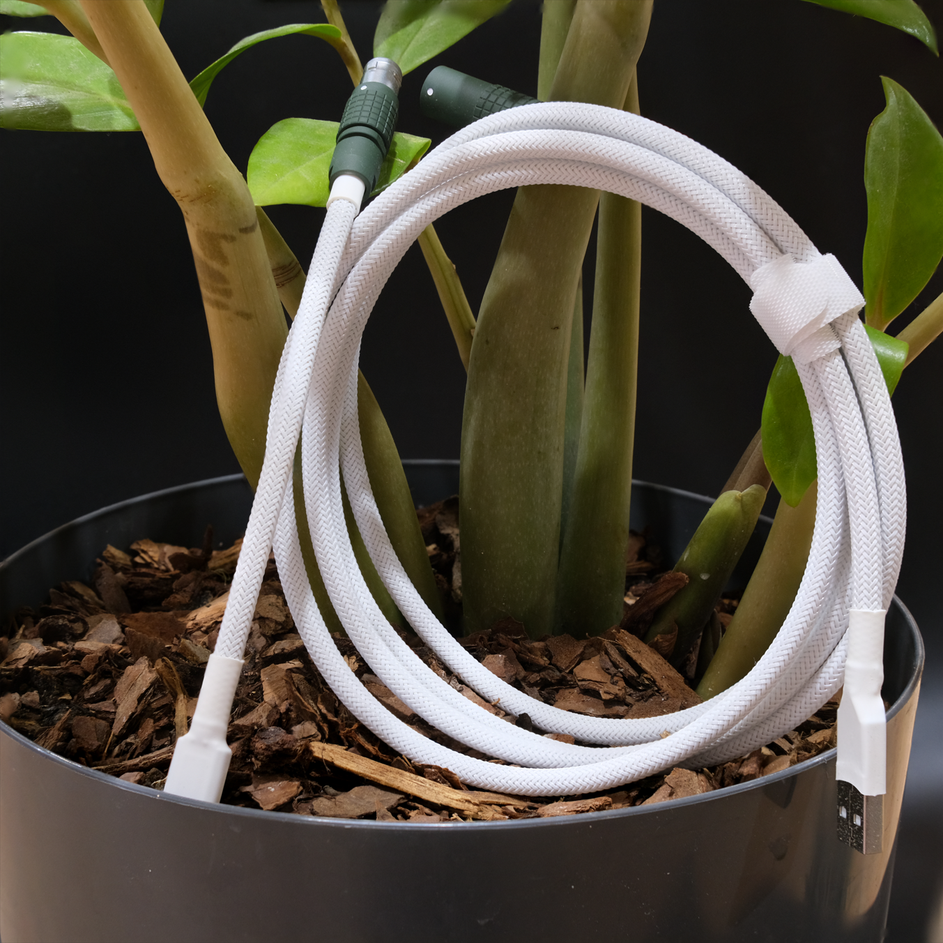 Botanical Custom Mechanical Cable - By Truly Chewyie